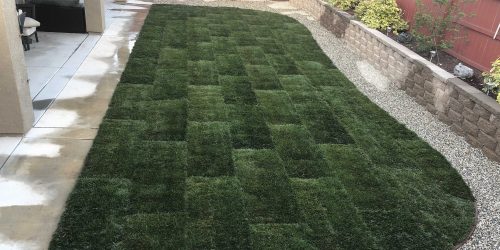 Sod Installation, Sod Contractor, Sod Company