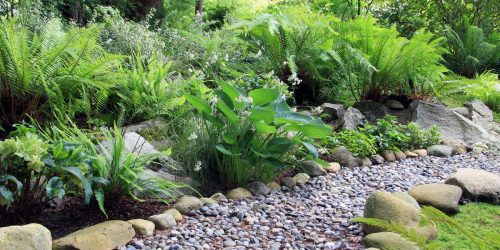 Landscaping, Stone Installation, Zeroscaping, Xeriscaping, Landscaping, Free Estimates Landscaping, Stone Installation, Zeroscaping, Xeriscaping, Landscaping, Free Estimates